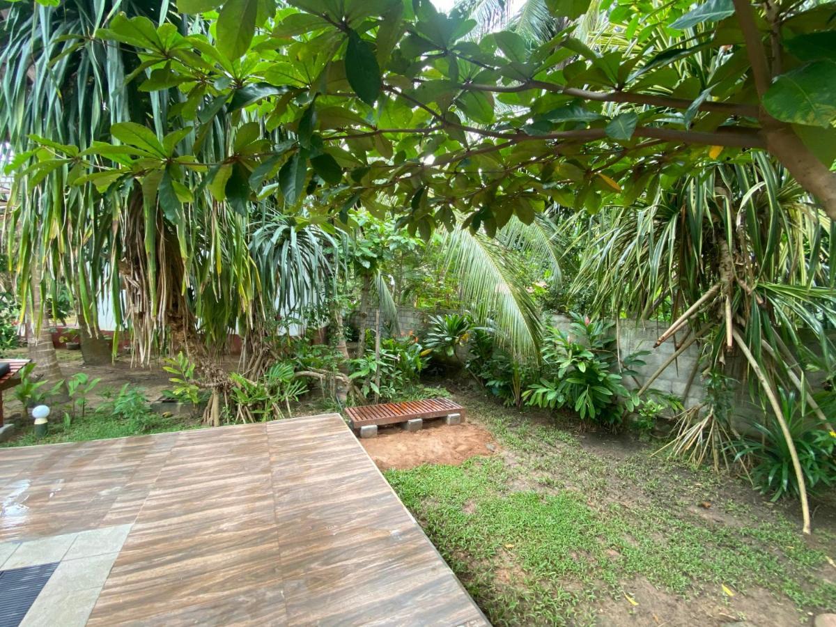 Hidden Garden טנגלה מראה חיצוני תמונה