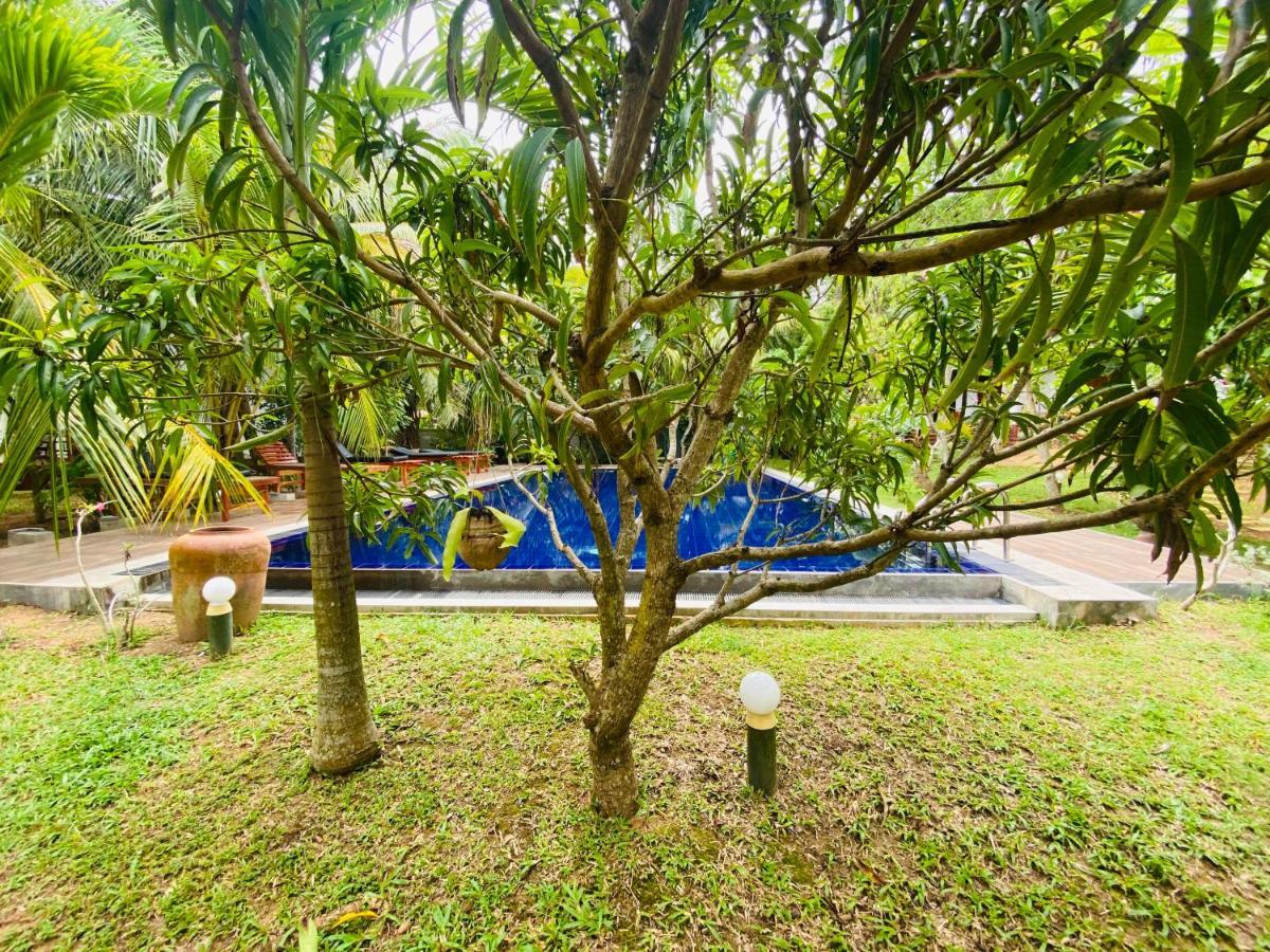 Hidden Garden טנגלה מראה חיצוני תמונה